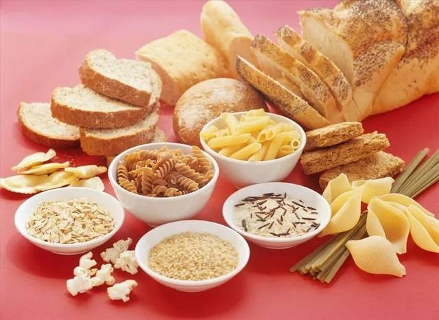 狗狗到底需不需要碳水化合物？从生理到食品选择的全面解读